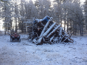 A man conducts a site survey