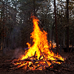 A burning pile of wood